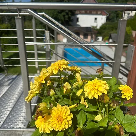 Apartamento Auszeit Im Südharz Stolberg i. Harz