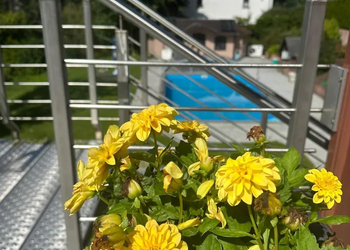 Daire Auszeit Im Suedharz Stolberg i. Harz